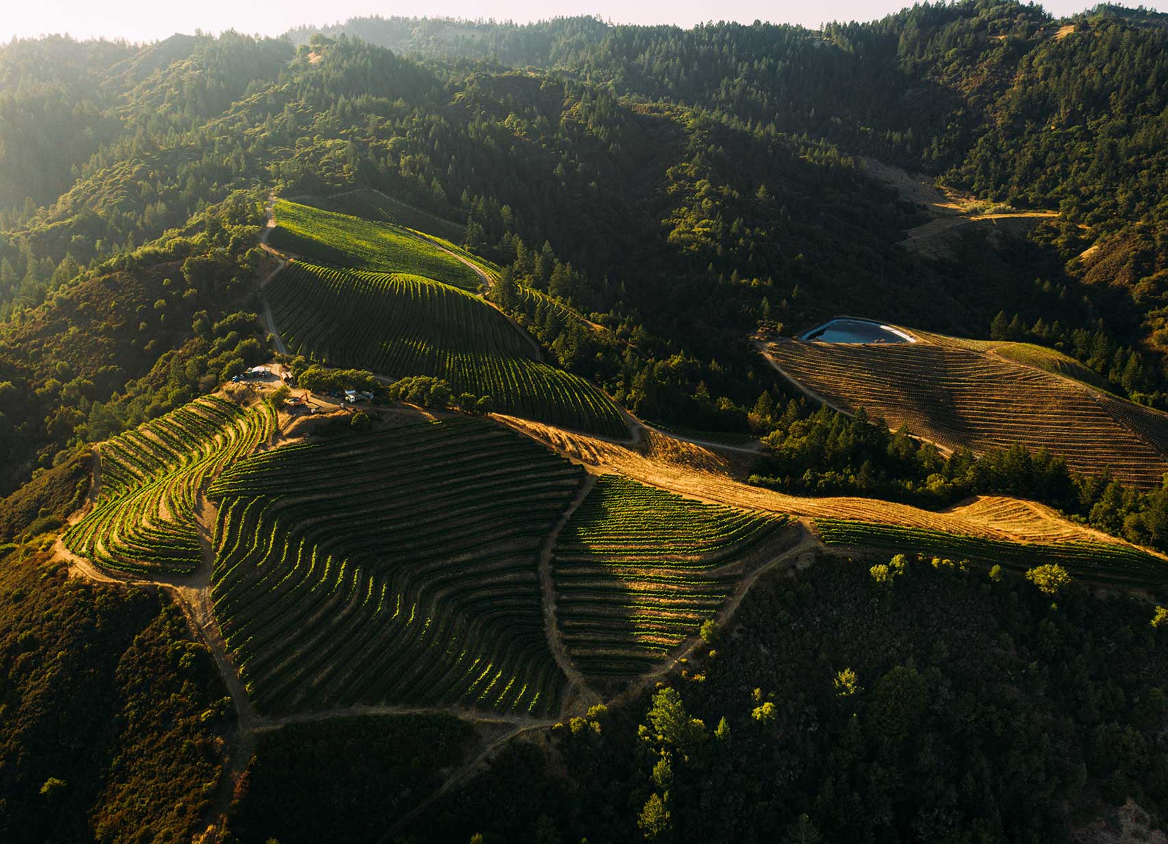 Immortal Vineyard California Winery Hillside Aerial View